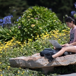 Student studying/working on laptop on large rock on campus